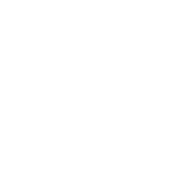 Automotive Services POS
