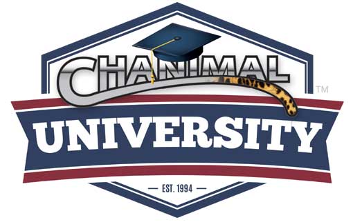Chanimal-University